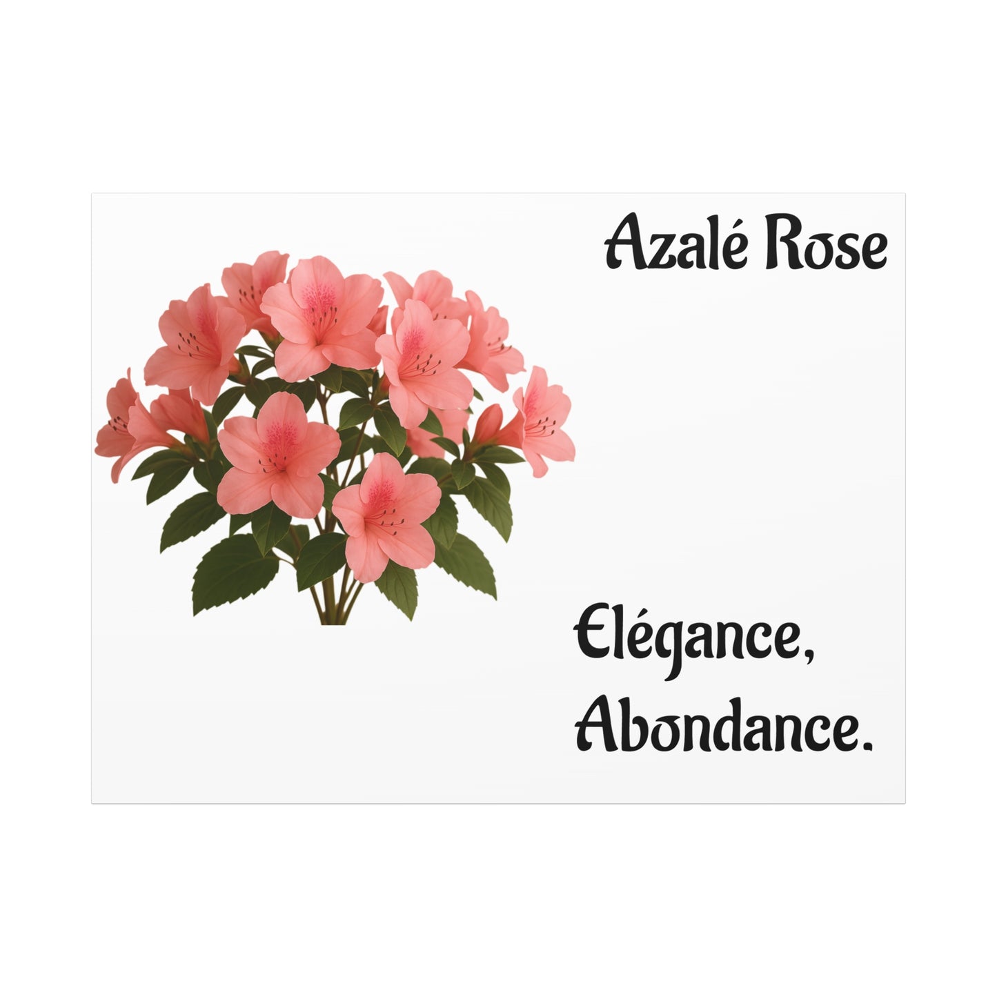 Elegant Azalea Rose Canvas Art, Floral Wall Decor, Home Decoration, Gifts for Her, Botanical Wall Art, Mother's Day Gift