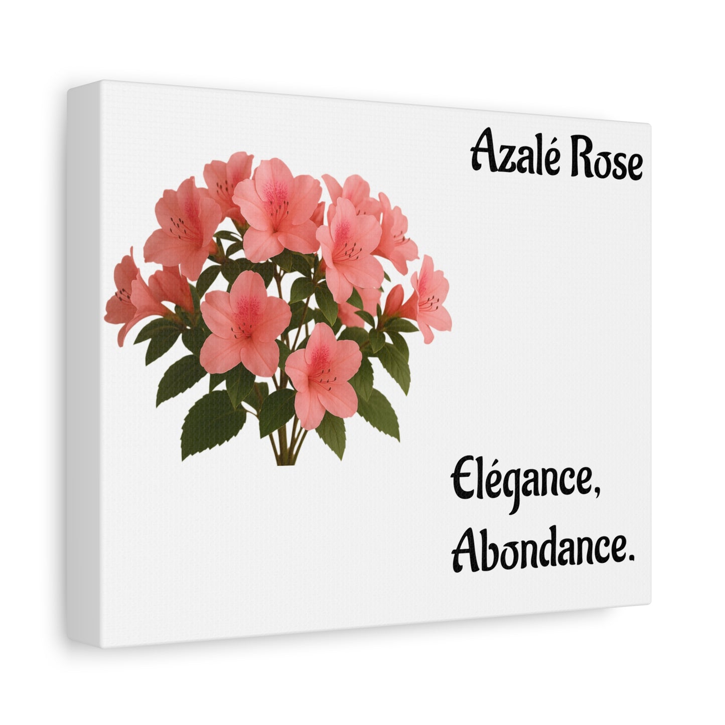 Elegant Azalea Rose Canvas Art, Floral Wall Decor, Home Decoration, Gifts for Her, Botanical Wall Art, Mother's Day Gift
