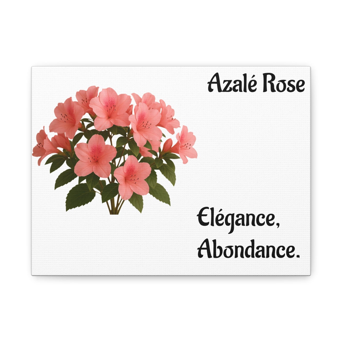 Elegant Azalea Rose Canvas Art, Floral Wall Decor, Home Decoration, Gifts for Her, Botanical Wall Art, Mother's Day Gift